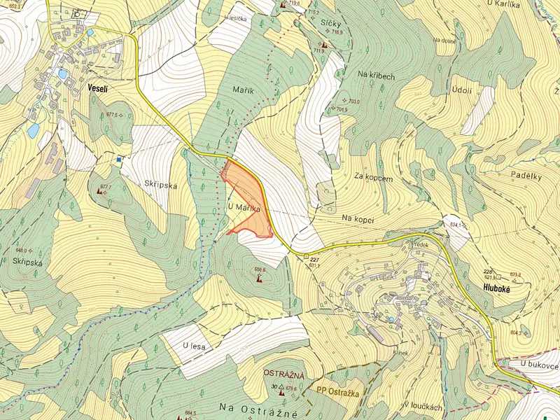 Prodej louky 12868 m², Dalečín – náhled fotky 3