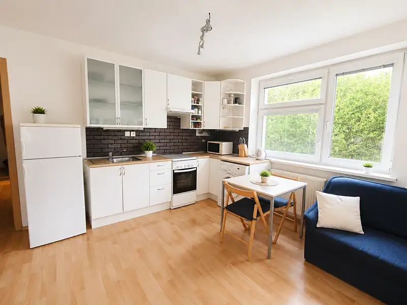 Pronájem bytu 2+kk 52 m², Praha – náhled fotky 1