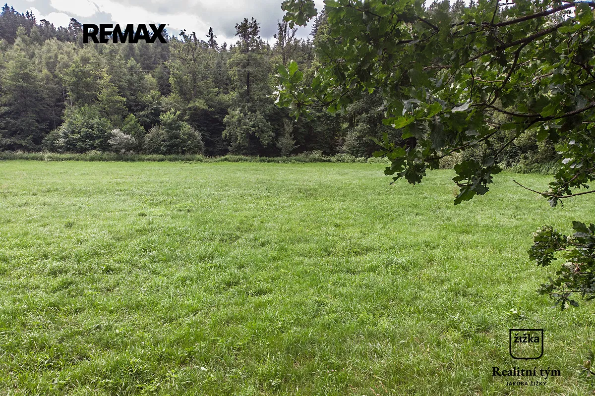 Prodej louky 1169 m²