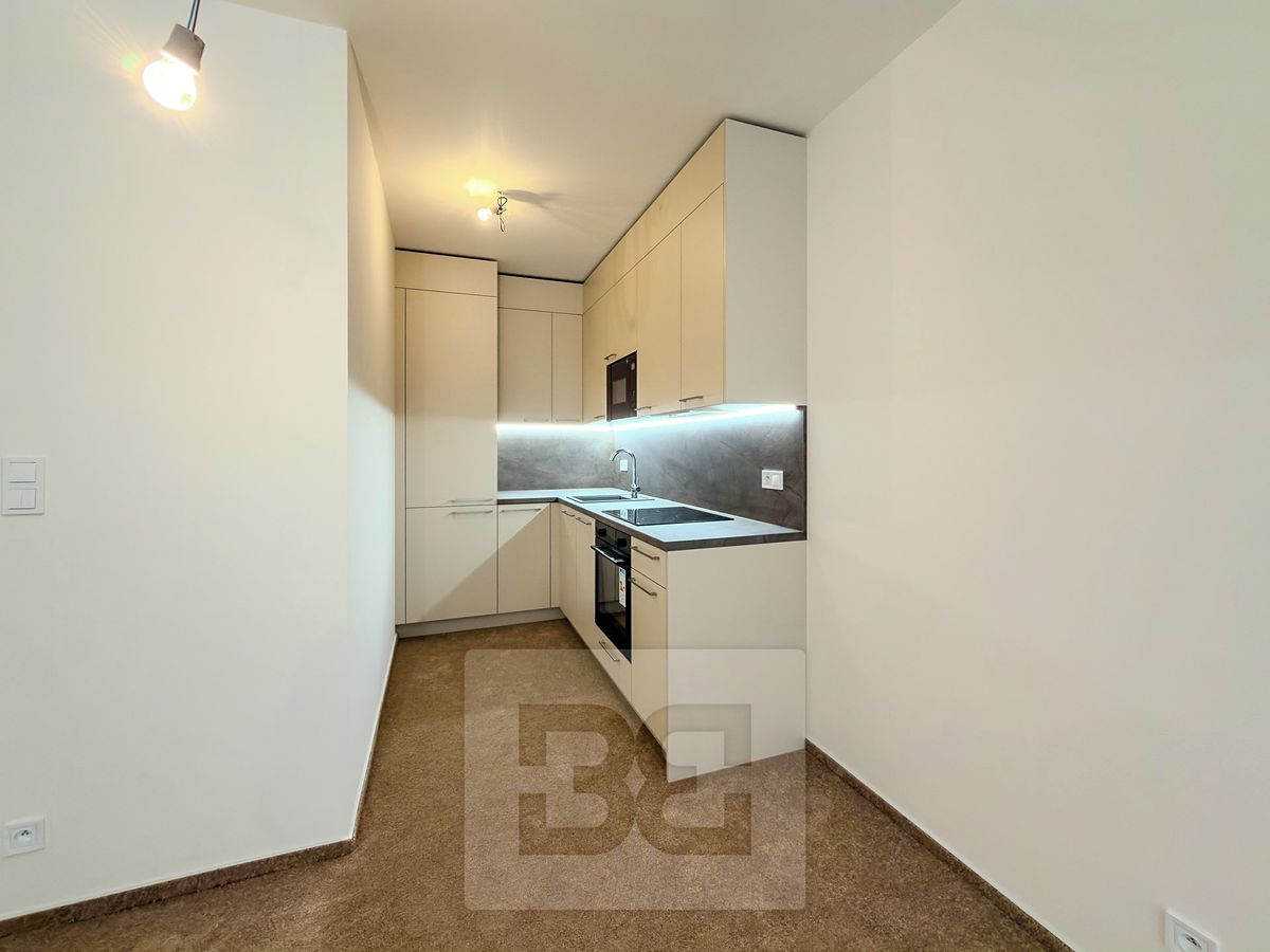 Pronájem bytu 2+kk 55 m² – fotografie 4