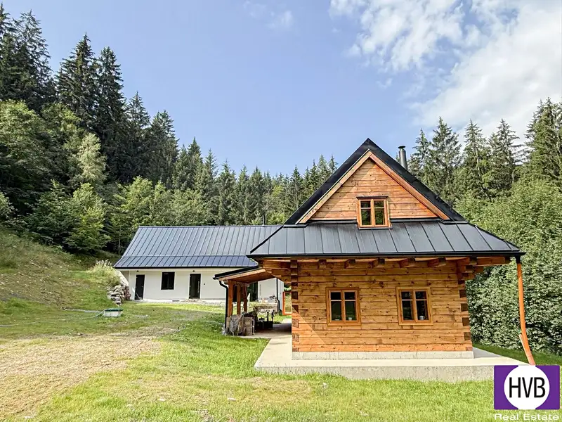 Prodej chalupy 291 m², pozemek 4432 m², Hutisko-Solanec – náhled fotky 3
