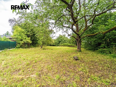 Grundstück zum Kauf, 999 m² (2 von 14)