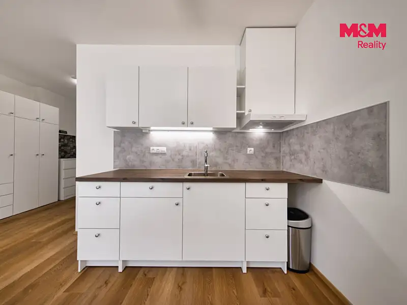 Prodej bytu 1+kk 38 m², Mladá Boleslav – náhled fotky 2