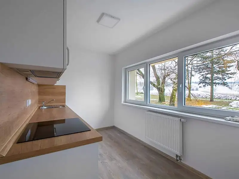 Pronájem bytu 1+1 39 m², Velká nad Veličkou – náhled fotky 3