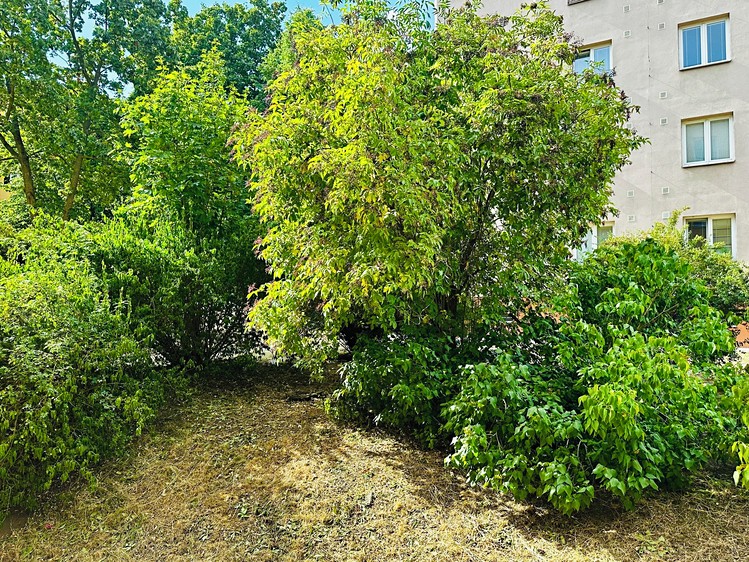 Prodej bytu 2+1, 53 m² (5 z 22)
