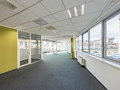 Gewerbefläche zur Miete, 956 m² (3 von 16)