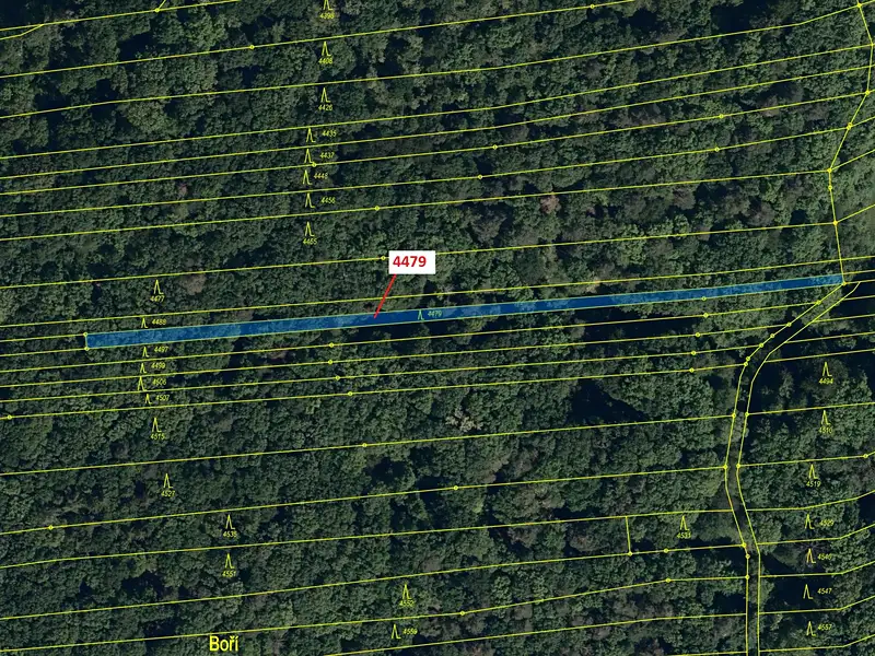 Dražba lesa 782 m², Hradčovice – náhled fotky 3