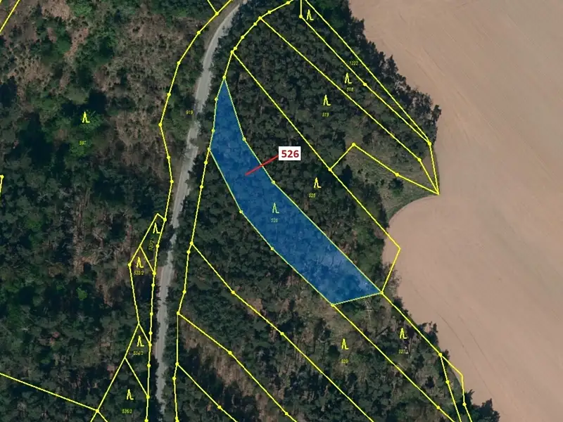 Dražba lesa 1796 m², Náměšť nad Oslavou – náhled fotky 2