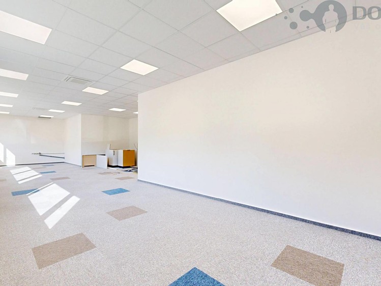 Gewerbefläche zur Miete, 265 m² (8 von 21)