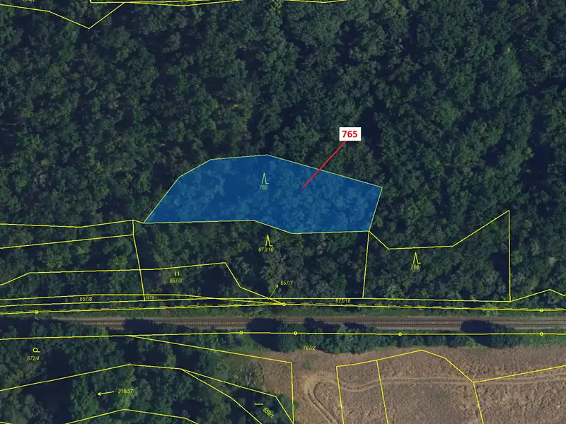 Dražba lesa 1793 m², Lhota Rapotina – náhled fotky 2