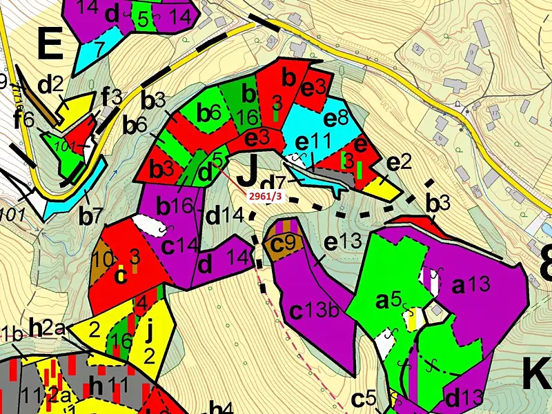 Dražba lesa 1217 m², Český Dub – náhled fotky 3