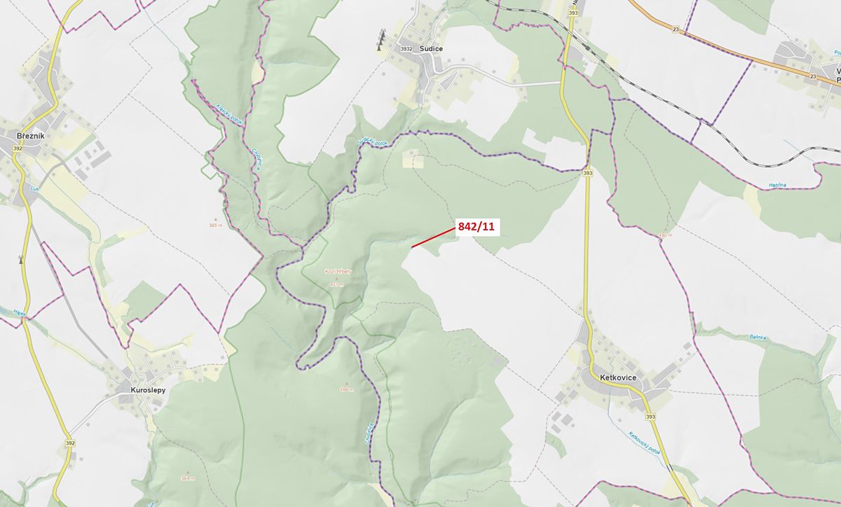 Dražba lesa 113 m², Ketkovice – fotka 1 z 3