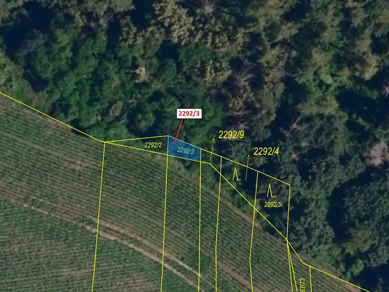 Dražba lesa 26 m², Oslavany – náhled fotky 2