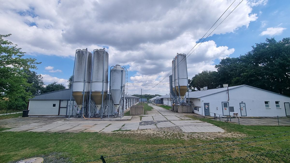 Prodej výrobní haly, prostoru 15000 m²