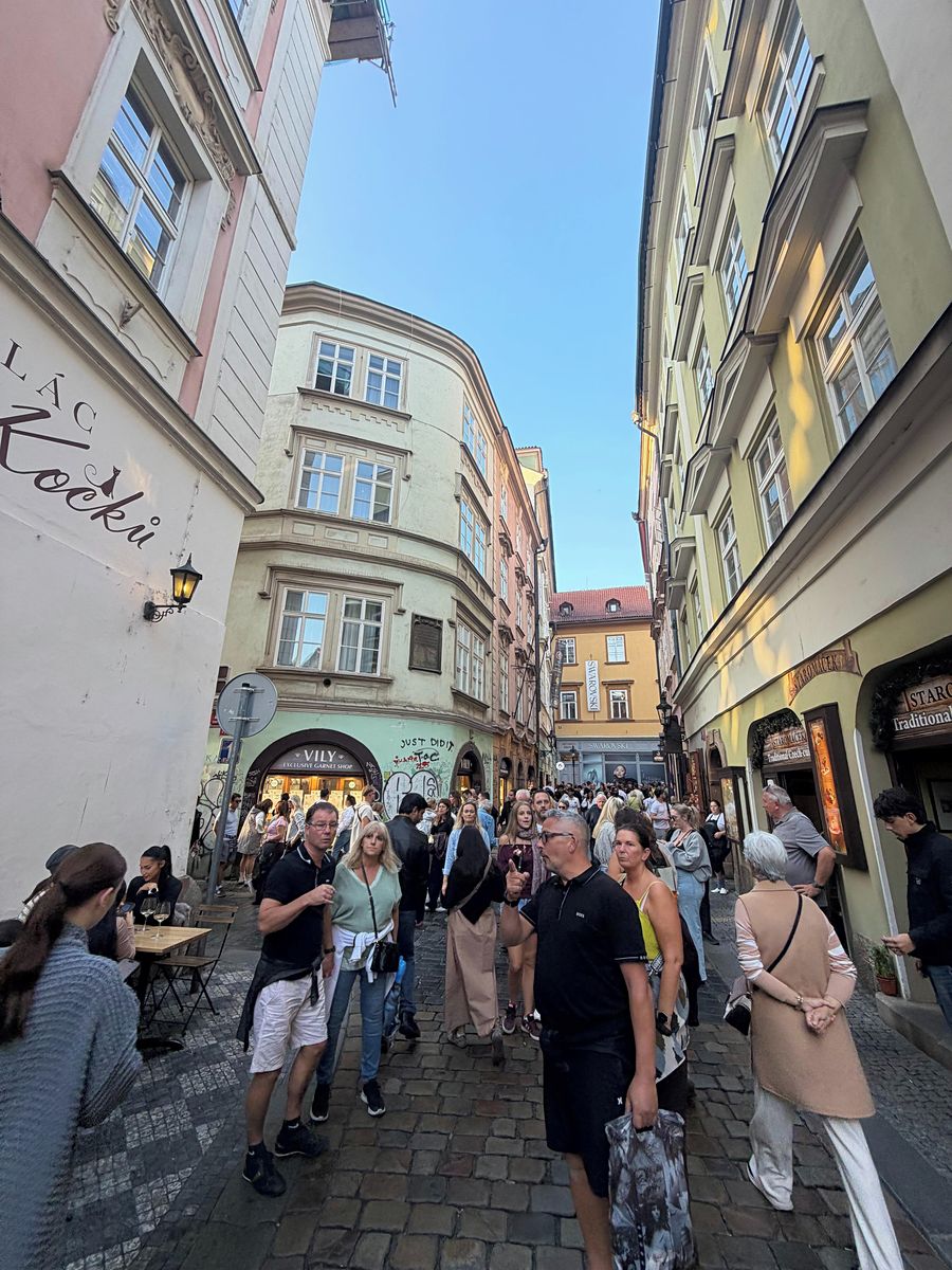 Pronájem obchodního prostoru 30 m² – fotografie 2
