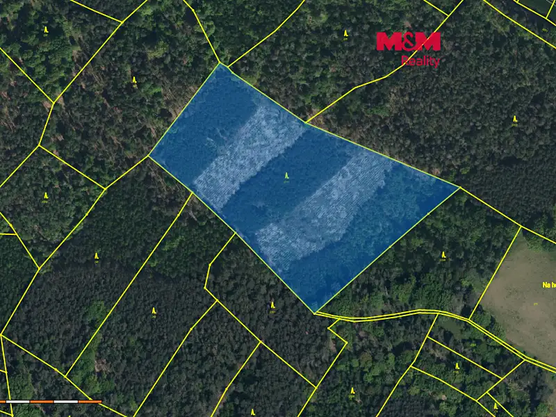 Prodej lesa 24923 m², Jankovice – náhled fotky 1