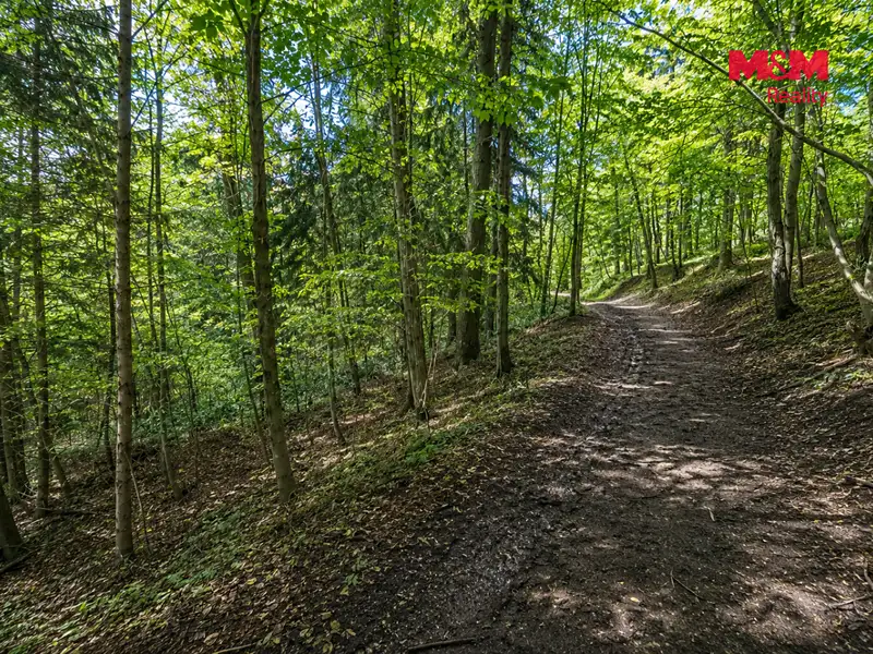 Prodej lesa 6855 m², Jestřebí – náhled fotky 2