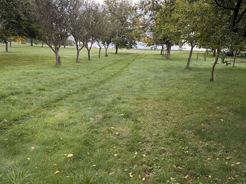 Prodej chaty 40 m², pozemek 1863 m², Líšná – náhled fotky 3