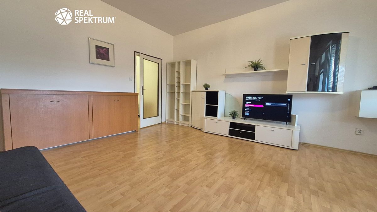 Pronájem bytu 1+kk 39 m² – fotografie 3
