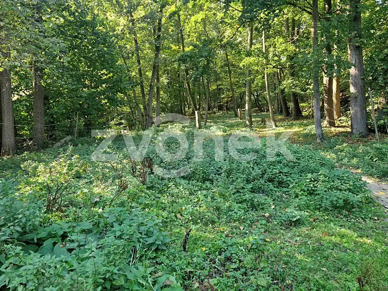 Prodej pozemku 3756 m², Halenkovice – náhled fotky 2