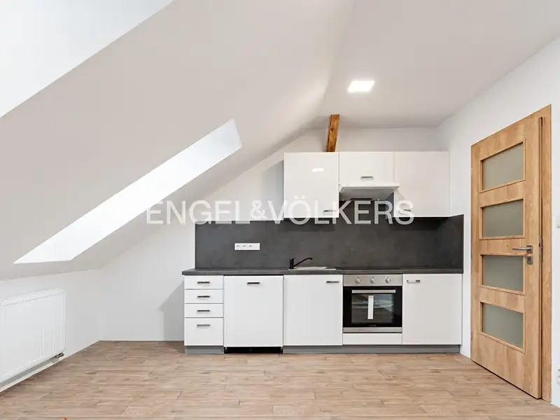 Pronájem bytu 1+kk, 49 m², Plzeň-město, Plzeň