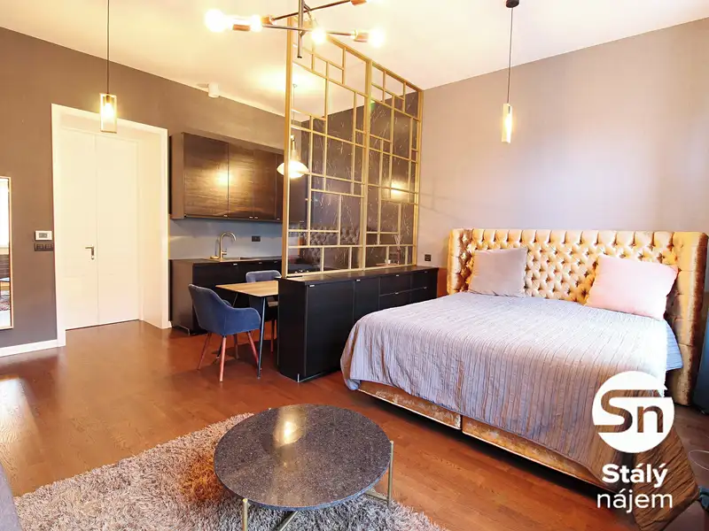 Pronájem bytu 1+kk 41 m², Praha – náhled fotky 2
