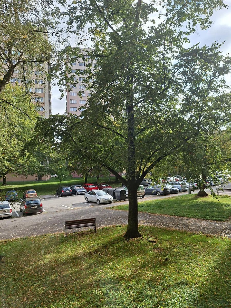 Pronájem bytu 1+1 35 m² – fotografie 3