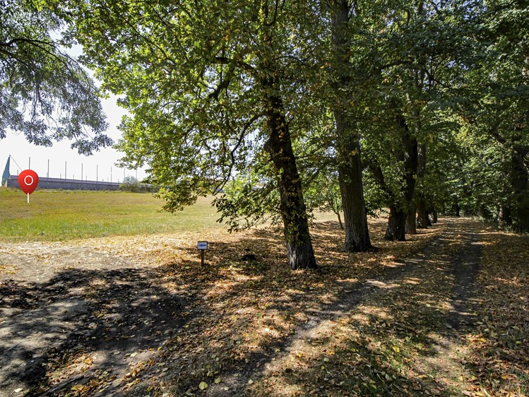 Ostatní