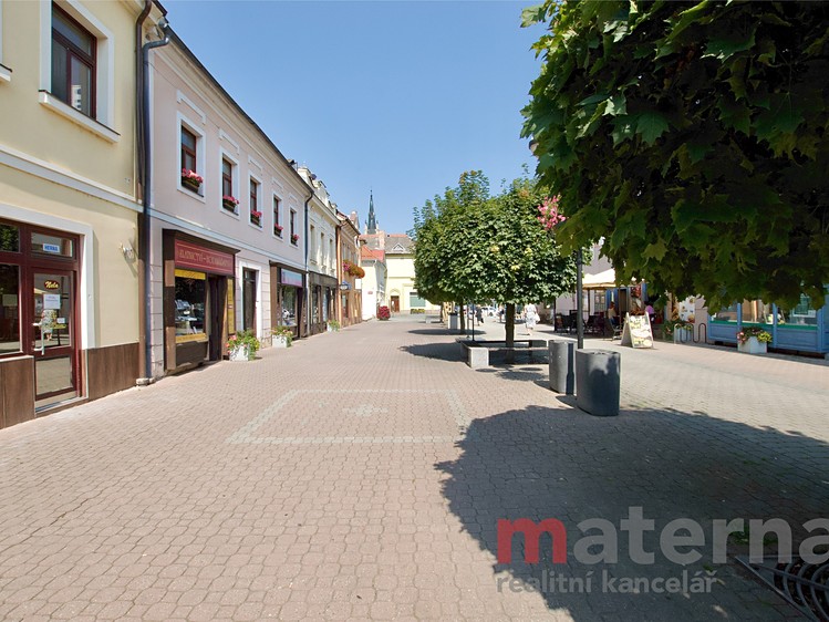 Prodej komerčního prostoru, 328 m² (31 z 34)