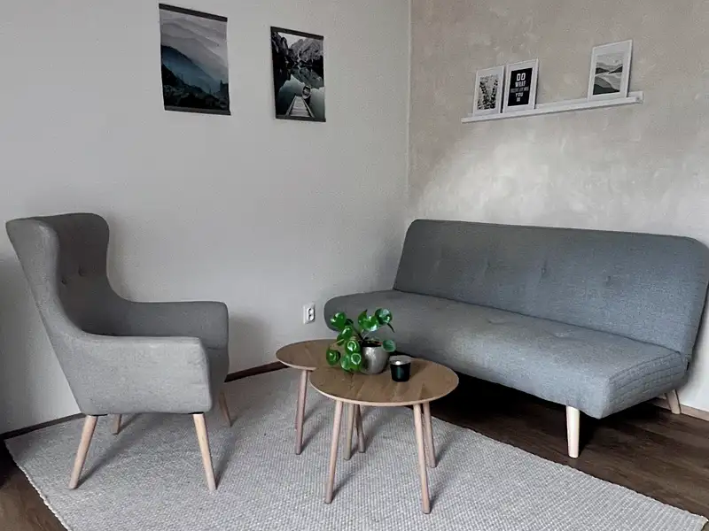 Pronájem bytu 2+kk 44 m², Jihlava – náhled fotky 2