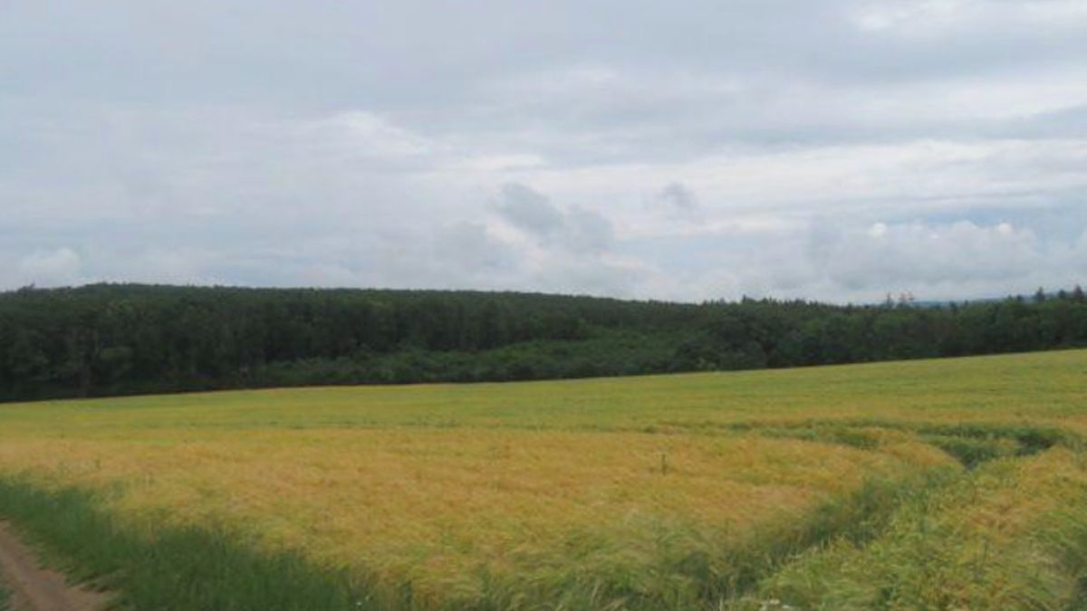 Dražba pole 3611 m², Čučice – fotka 1 z 3