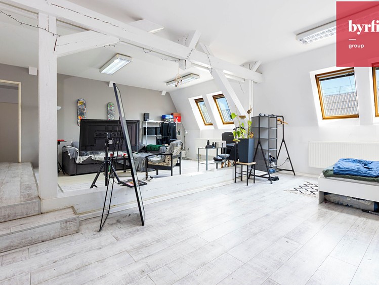 Prodej bytu atypical, 203 m² (5 z 22)