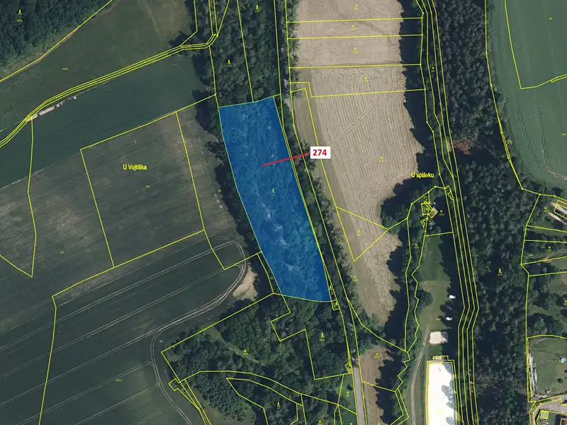 Dražba lesa 10038 m², Klášter Hradiště nad Jizerou – náhled fotky 2