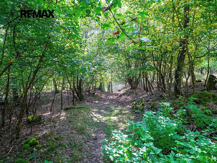Grundstück zum Kauf, 1.765 m² (7 von 24)