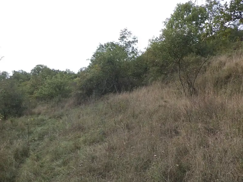 Dražba louky 22441 m², Řehlovice – náhled fotky 2