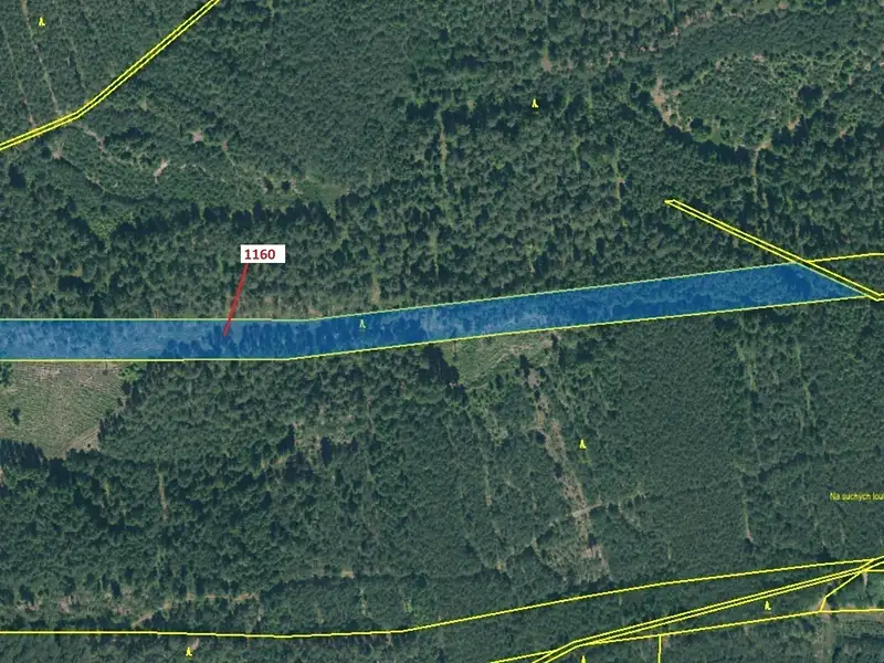 Dražba lesa 12984 m², Jesenice – náhled fotky 2
