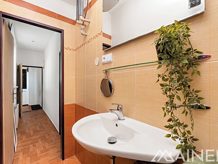 Prodej bytu 1+1, 49 m² (10 z 19)