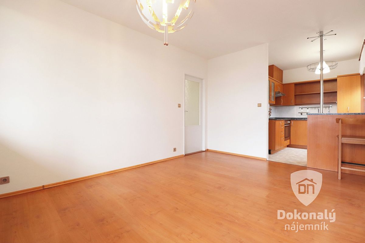 Pronájem bytu 2+kk 46 m²