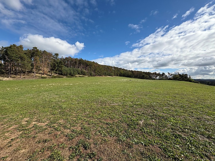 Grundstück zum Kauf, 85.916 m² (11 von 18)