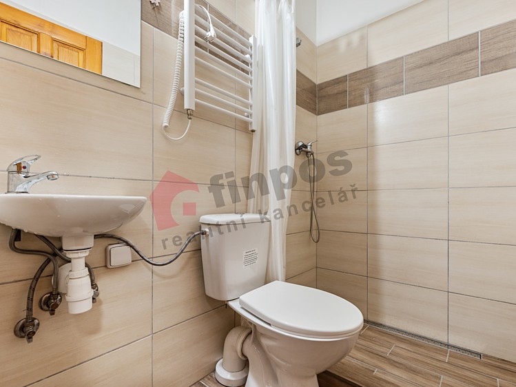 Wohnung 3+kk zur Miete, 52 m² (5 von 14)
