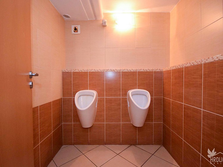 Pronájem komerčního prostoru, 73 m² (11 z 14)