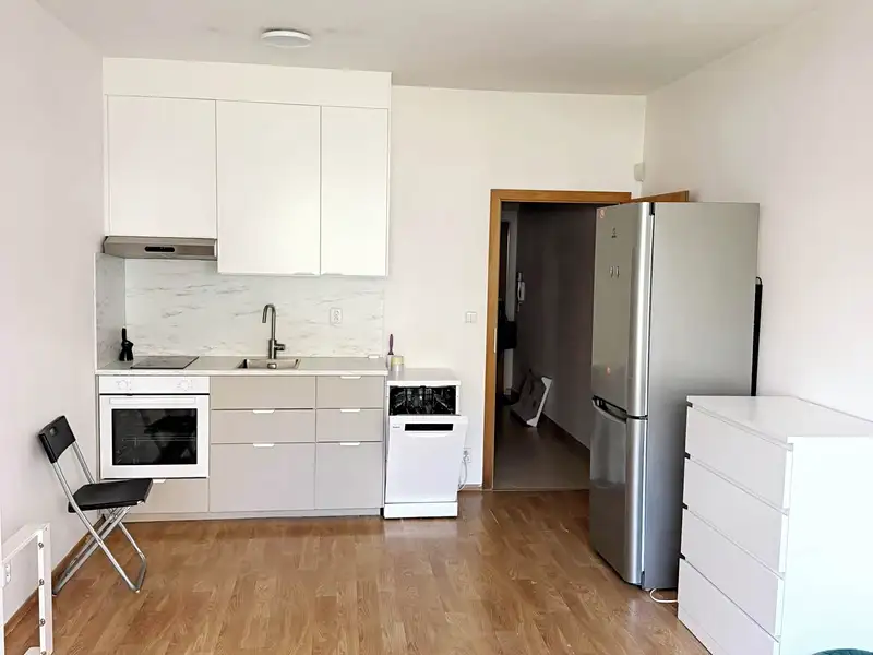 Pronájem bytu 1+kk 31 m², Praha – náhled fotky 2