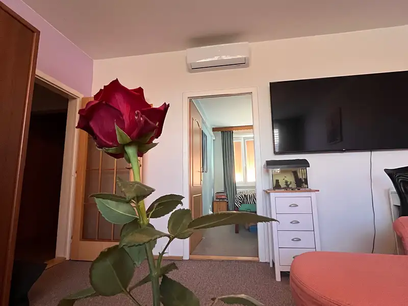 Prodej bytu 3+1 74 m², Ostrava – náhled fotky 3