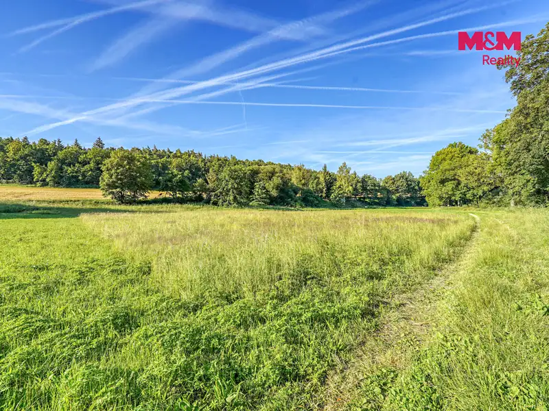 Pronájem louky 3297 m², Plzeň – náhled fotky 2