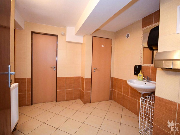 Pronájem komerčního prostoru, 73 m² (10 z 14)