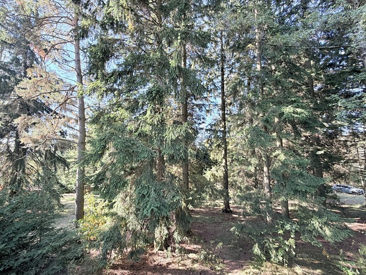Prodej domu, 53 m² (40 z 100)
