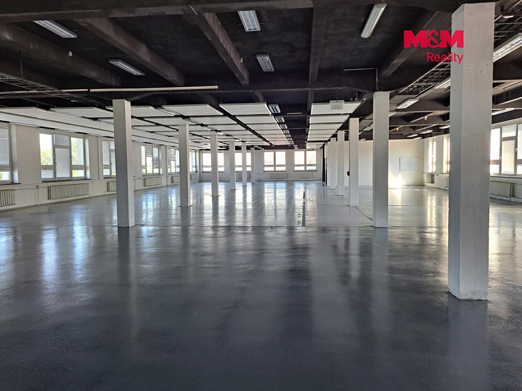 Комерційне приміщення в оренду, 835 м² (4 з 8)