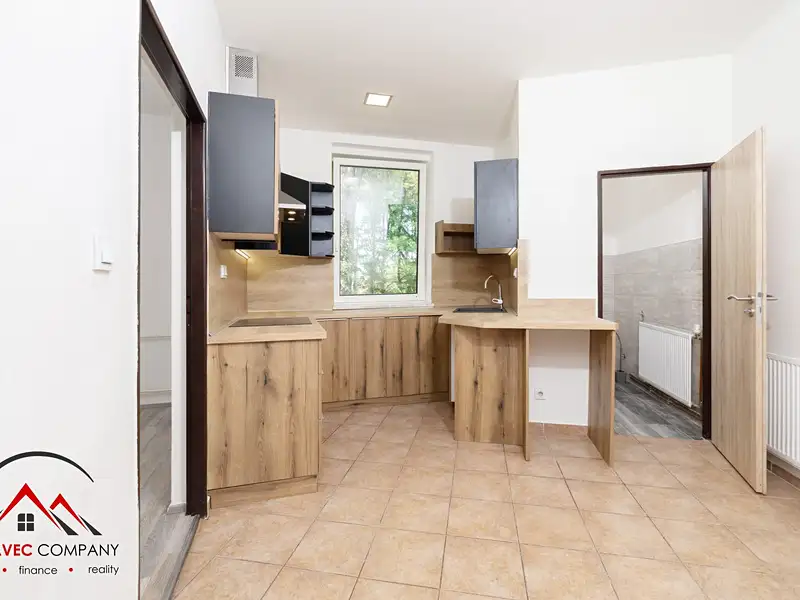 Pronájem bytu 1+1 46 m², Ostrava – náhled fotky 3