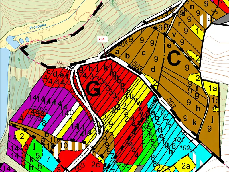 Dražba lesa 2930 m², Knínice – náhled fotky 3