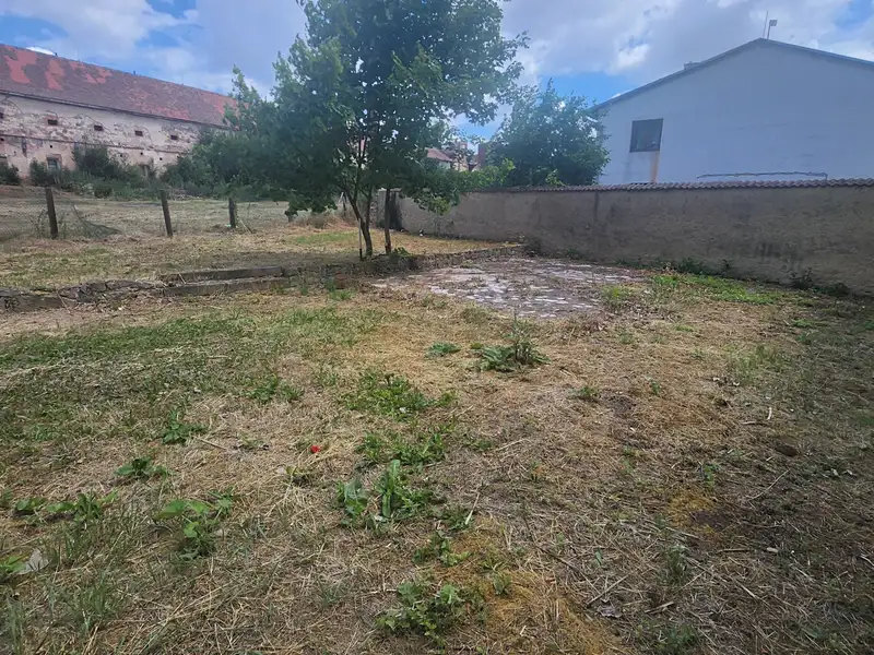 Dražba rodinného domu 483 m², pozemek 770 m², Hořesedly – náhled fotky 3
